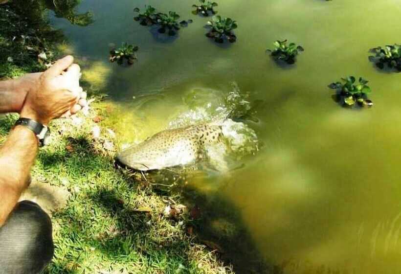 Cep Lago Hotel Ecológico