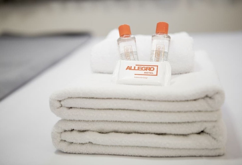 בית מלון כפרי Allegro