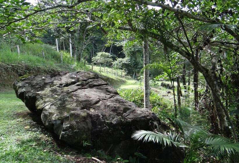 هتل Chalés Terra Nova