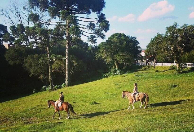 בית מלון כפרי Das Araucárias