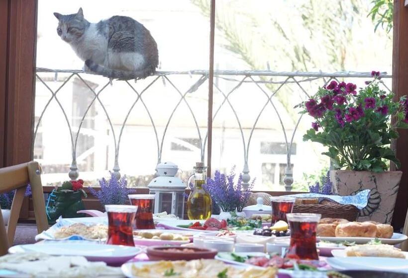 Отель Fikretbey Konağı