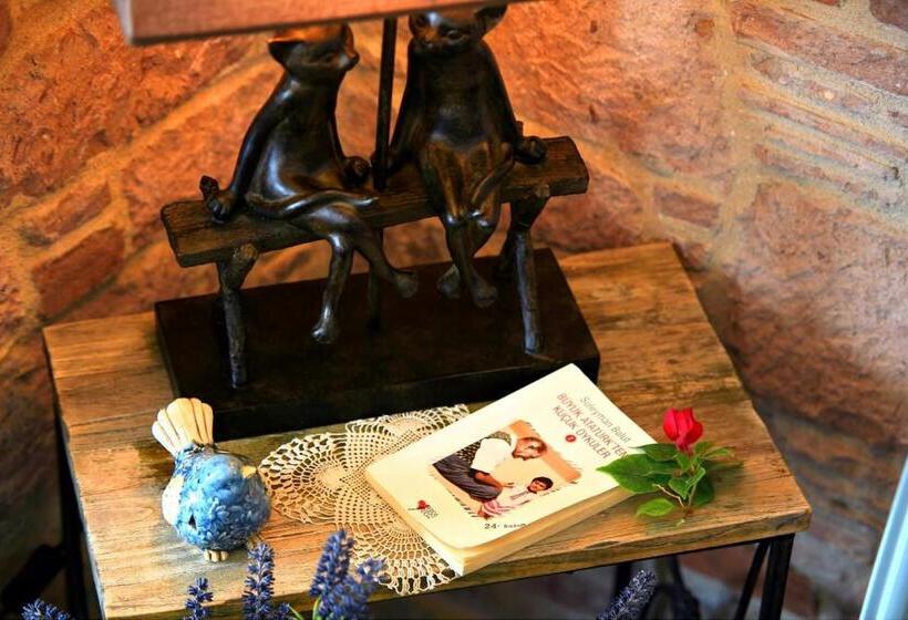 Отель Fikretbey Konağı