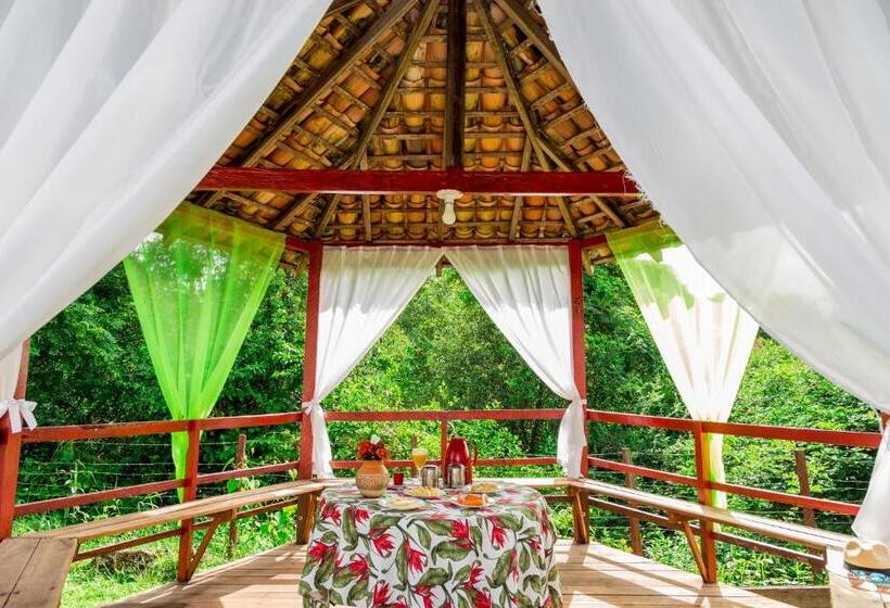 Отель Marajó   Turismo De Experiência