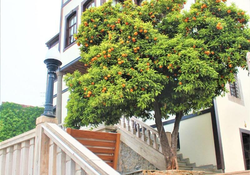 ホテル Mehmet Efendi Mansion &