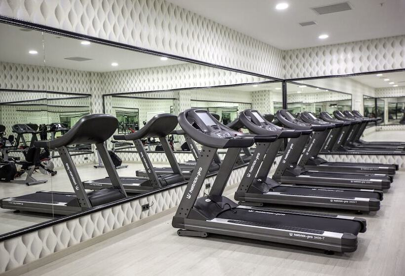 Отель Mitannia Regency