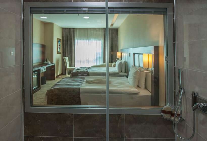 Отель Mitannia Regency