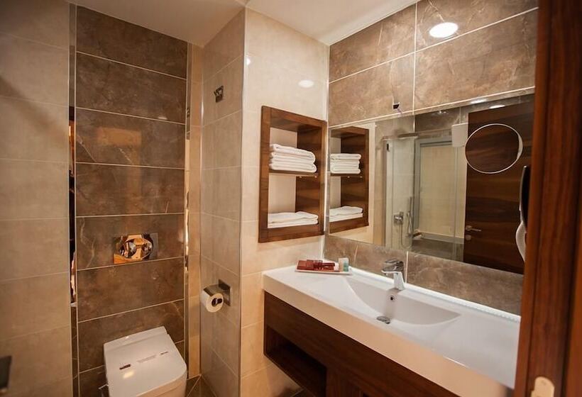 Отель Mitannia Regency