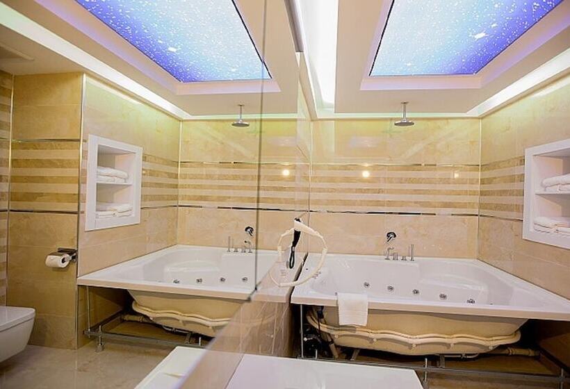 Отель Mitannia Regency