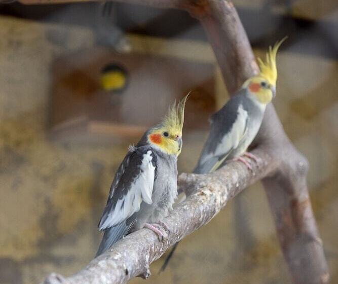 호텔 Mount Everest