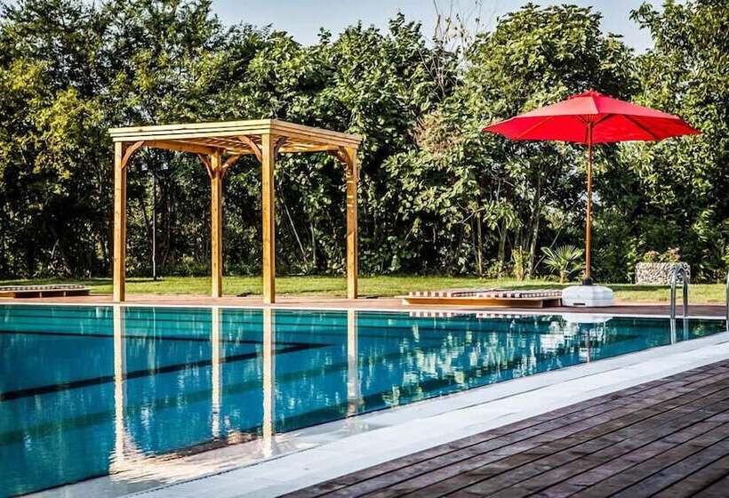 בית מלון כפרי My Green Boutique