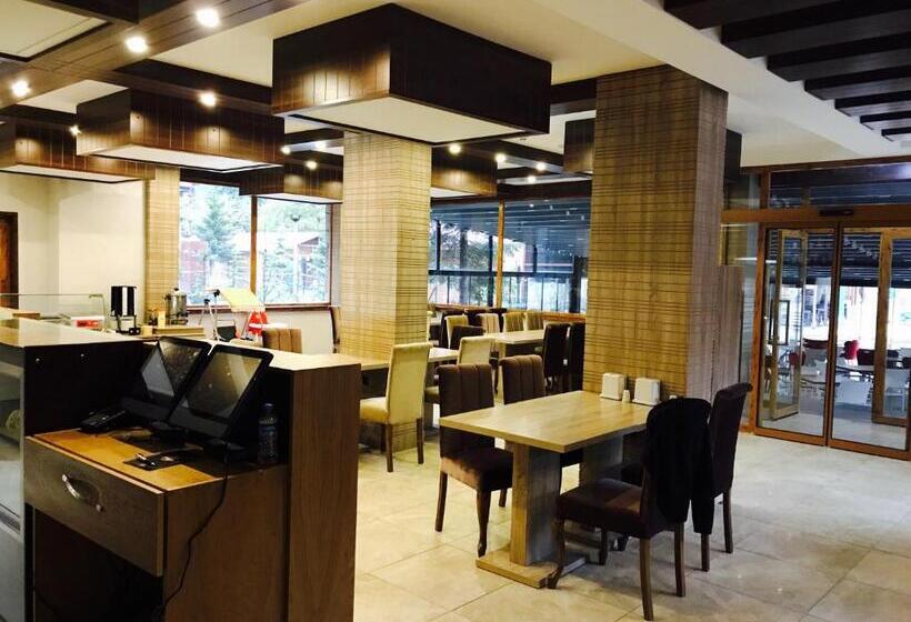 בית מלון כפרי My Home Uzungol