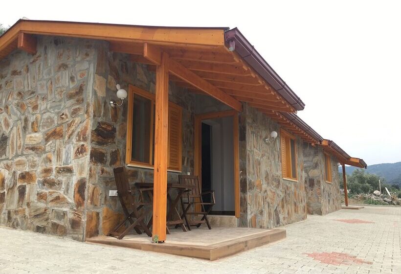 Отель Natureland Efes Pension