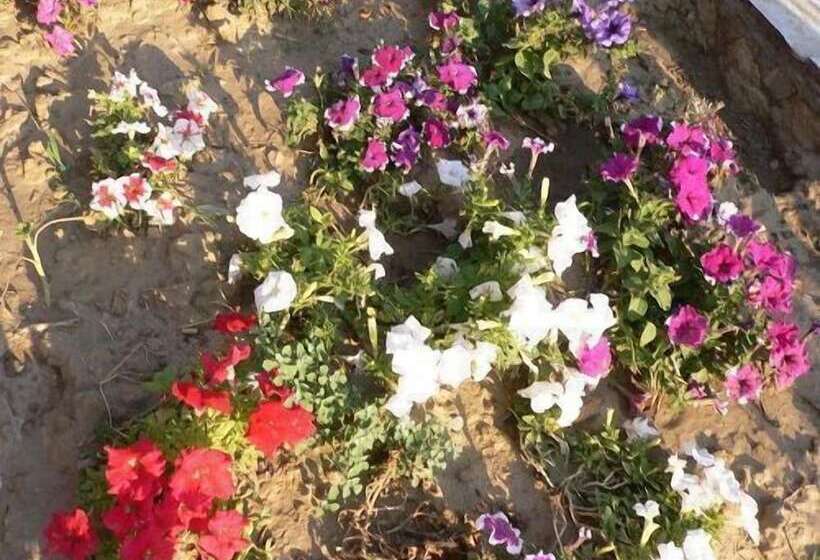 Отель Natureland Efes Pension