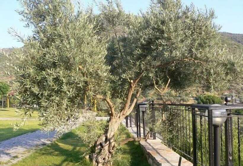 Отель Natureland Efes Pension