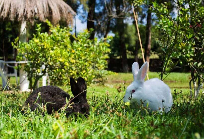 Отель Pontal De Tiradentes