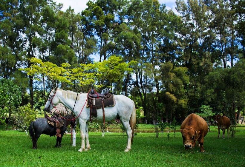 Отель Pontal De Tiradentes