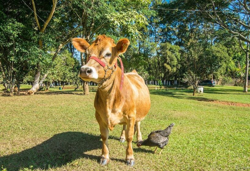Отель Pontal De Tiradentes