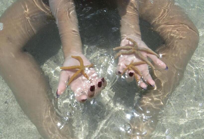 호텔 Pousada Arco Iris