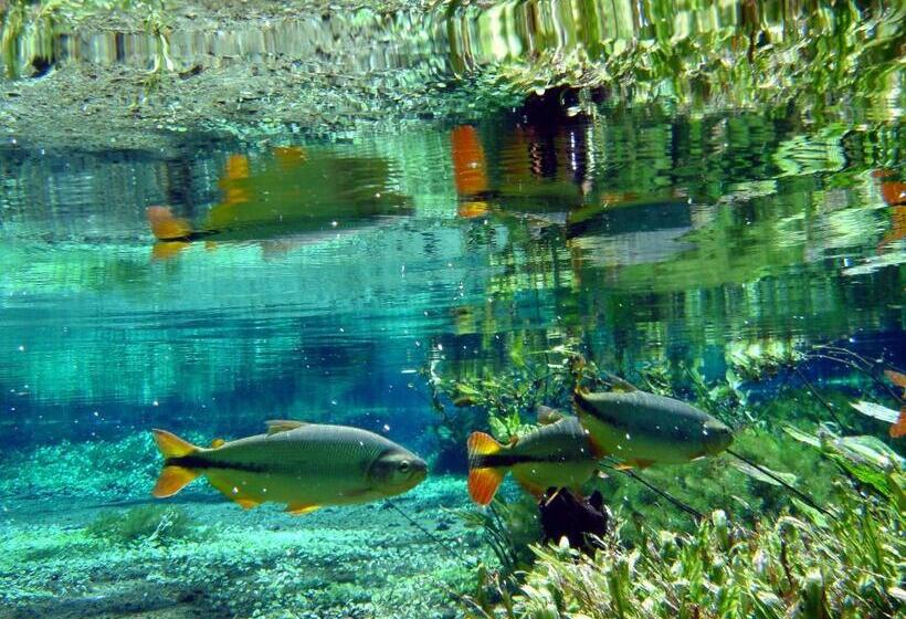 בית מלון כפרי Pousada Jubaia