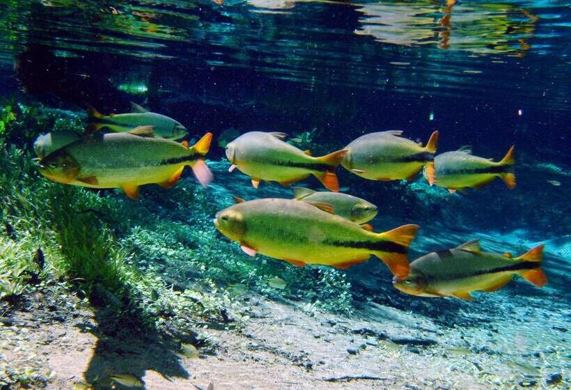 בית מלון כפרי Pousada Jubaia