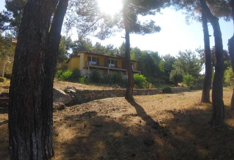 酒店 Rainbow Bay Ozdere Beach