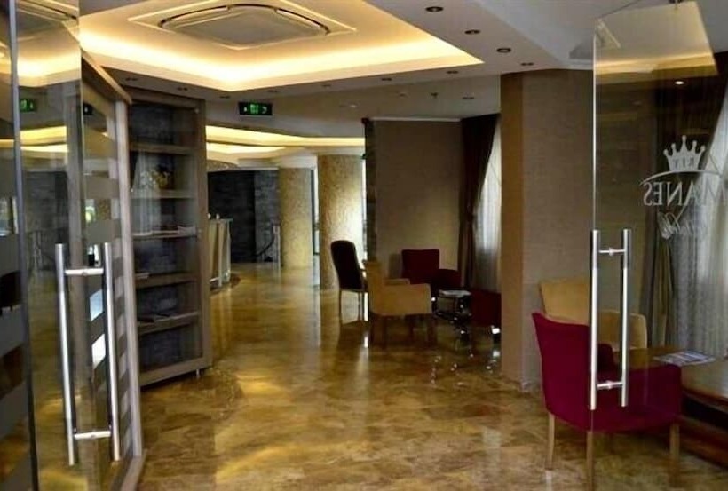 בית מלון כפרי Rey Manes