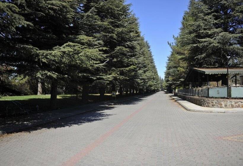 בית מלון כפרי Sarar Butik