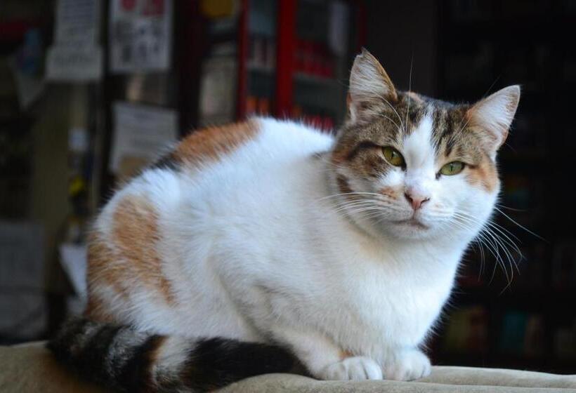 Otel Second Home Hostel