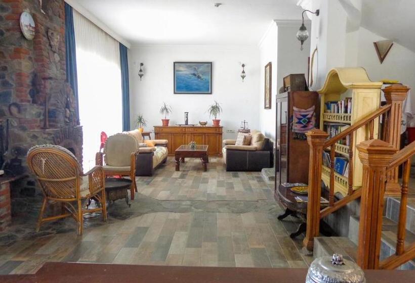 Отель Villa Panorama