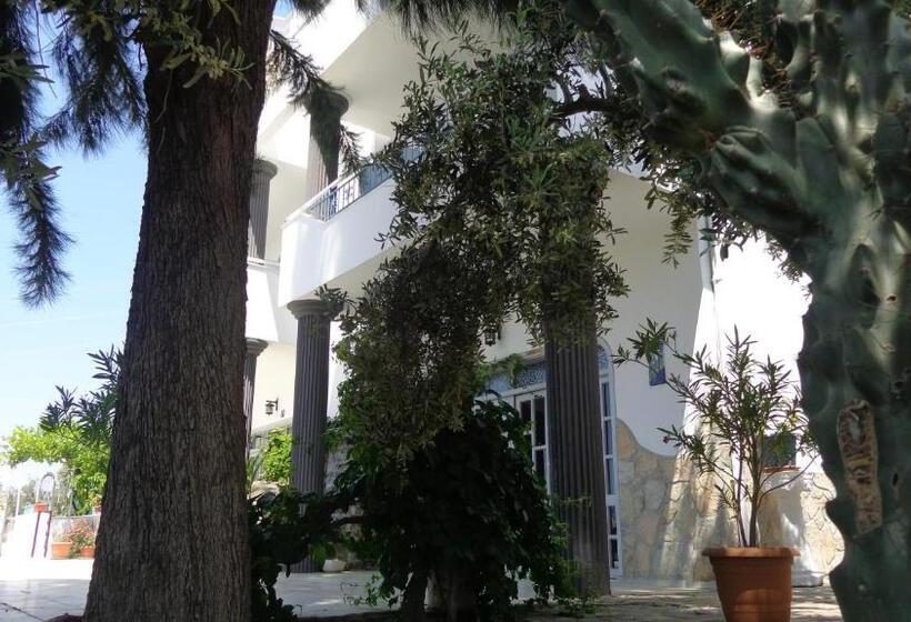 Отель Villa Panorama