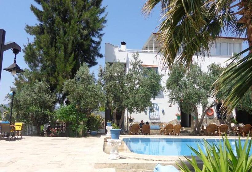 Отель Villa Panorama