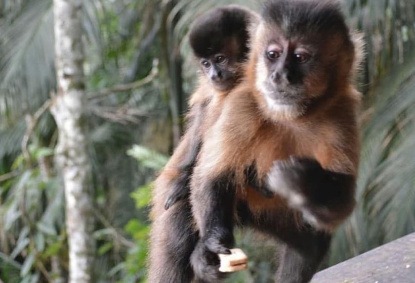 Отель Vista Linda