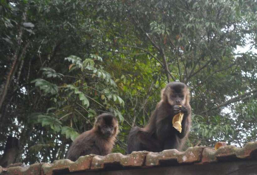 Отель Vista Linda