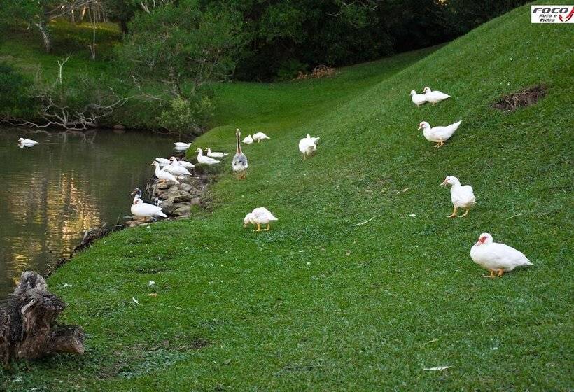 Park Hotel Mantiqueira