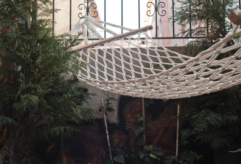 Veni Vidi Dormi Hostel