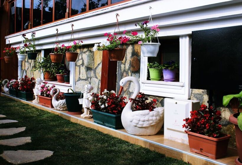 Отель Ağva Sahil Yıldızı