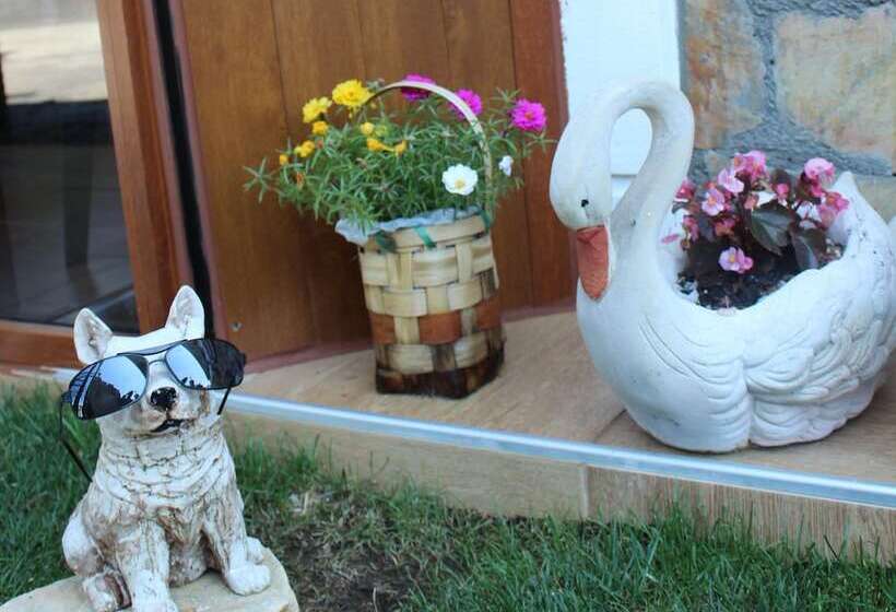 Отель Ağva Sahil Yıldızı