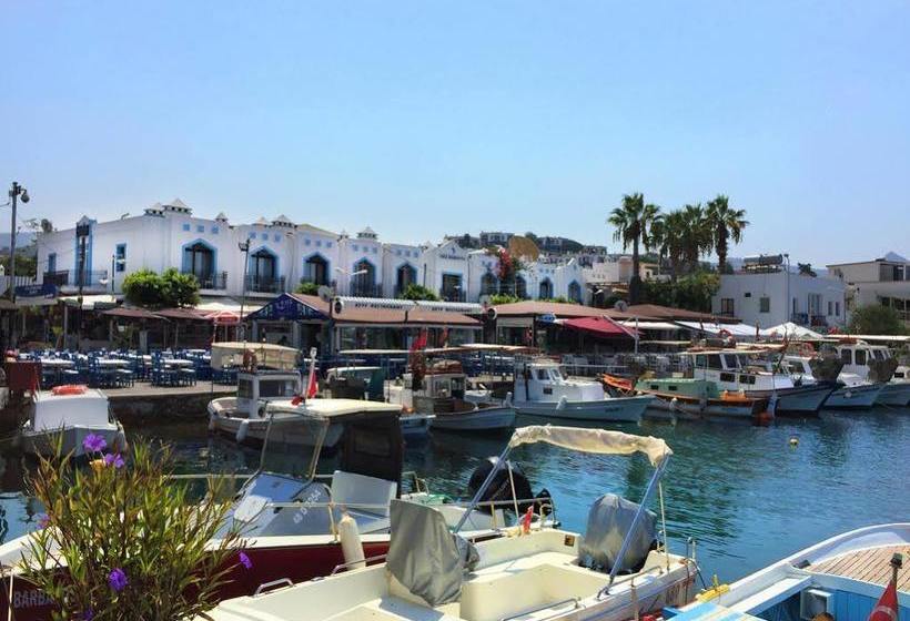 ベッドアンドブレックファースト Ali Baba