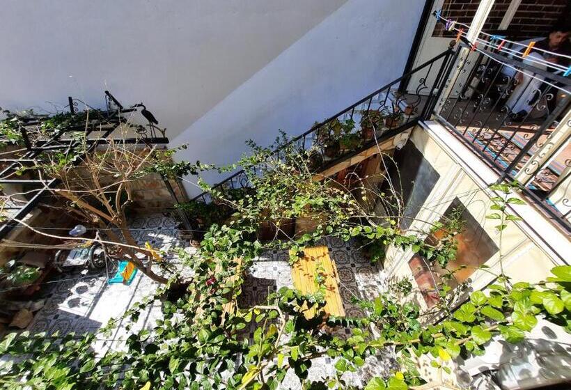 Bed and Breakfast Ali Baba's House