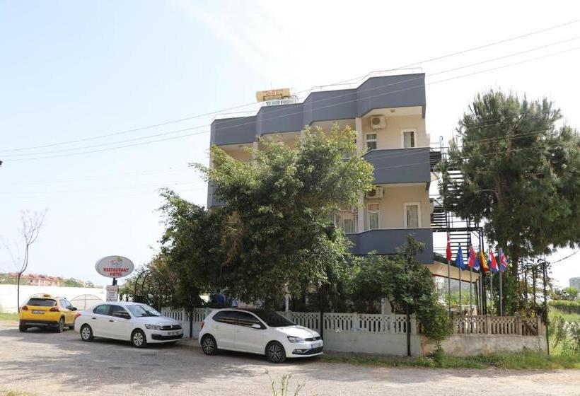 تختخواب و صبحانه Delfin Otel