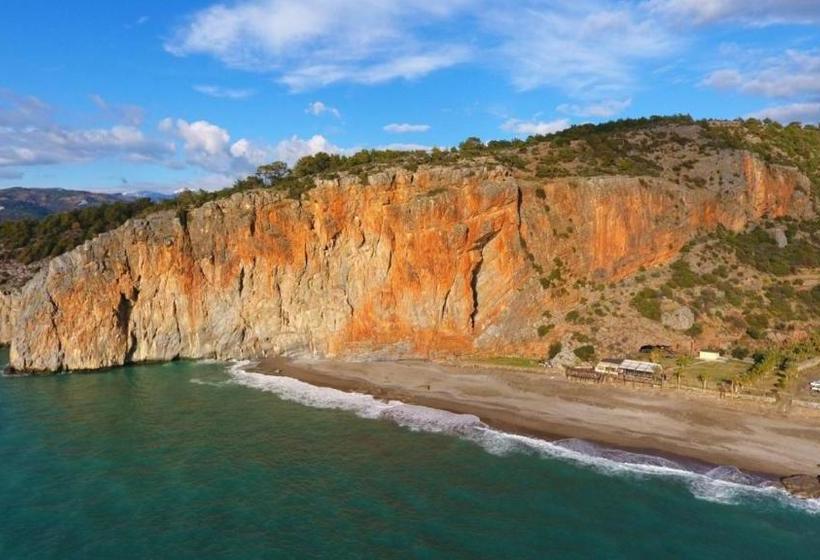 تختخواب و صبحانه Delfin Otel