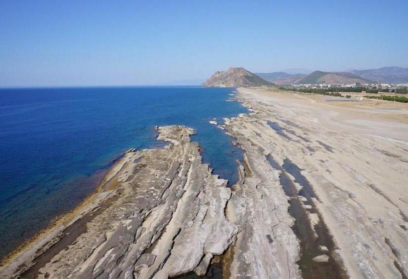 تختخواب و صبحانه Delfin Otel