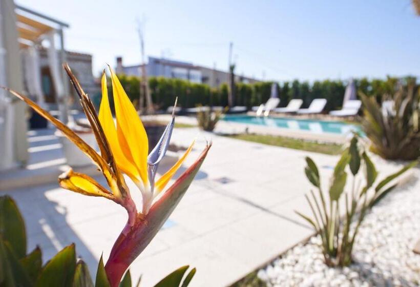 تختخواب و صبحانه Sade Alacati