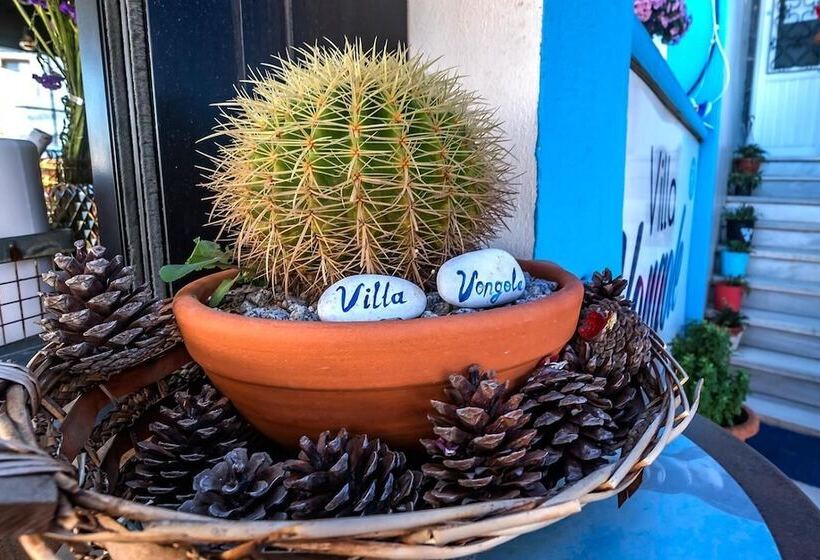 Bed and Breakfast Villa Vongole