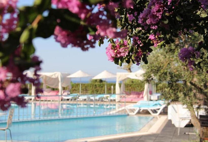 فندق Aloria Garden