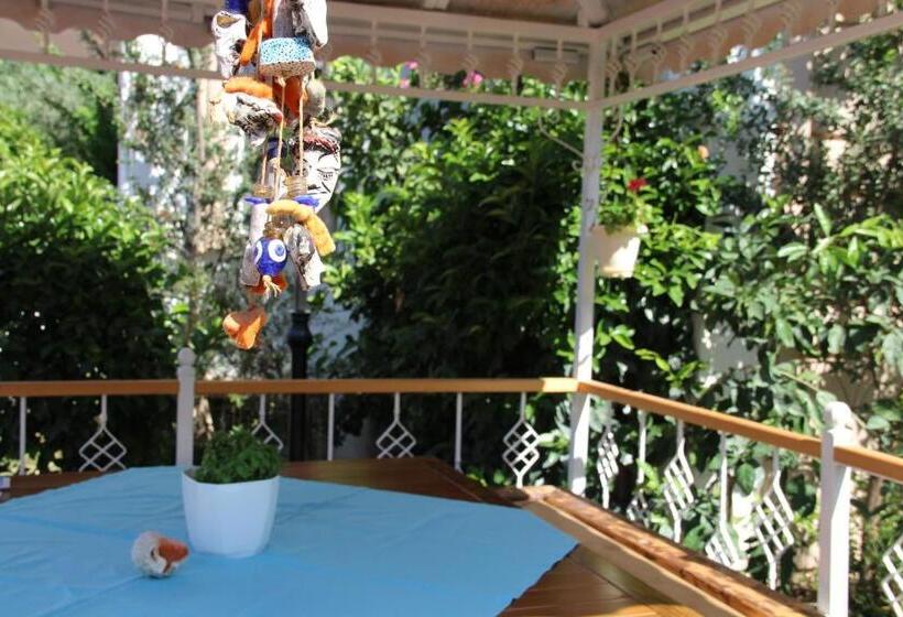 فندق Aloria Garden