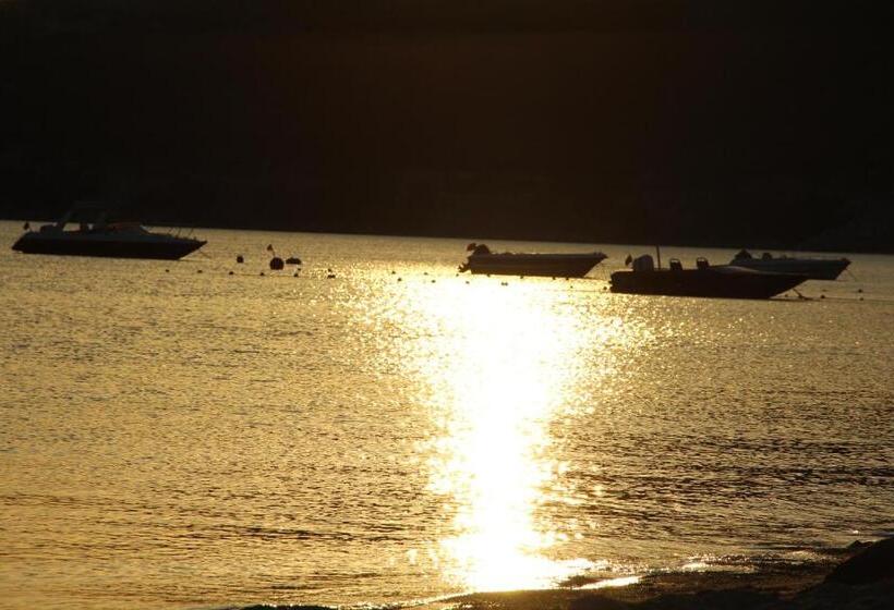 فندق Aloria Garden