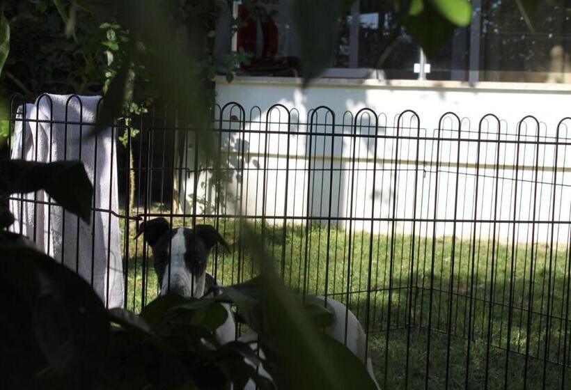 فندق Aloria Garden