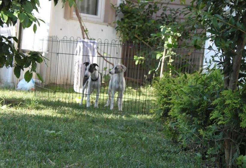 فندق Aloria Garden