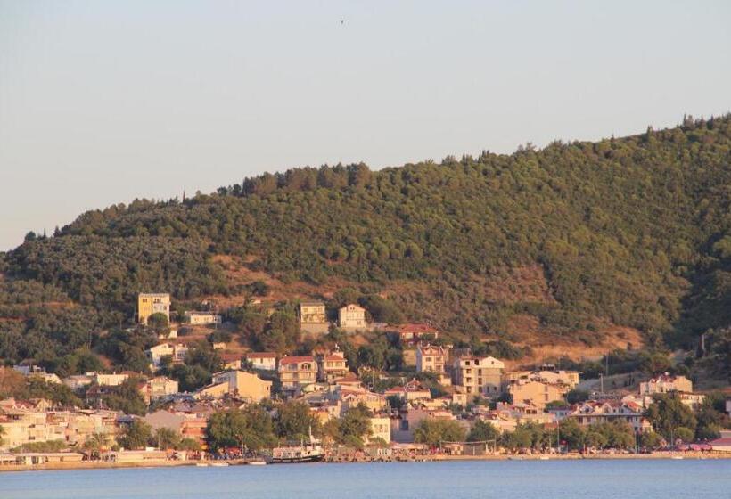 فندق Aloria Garden